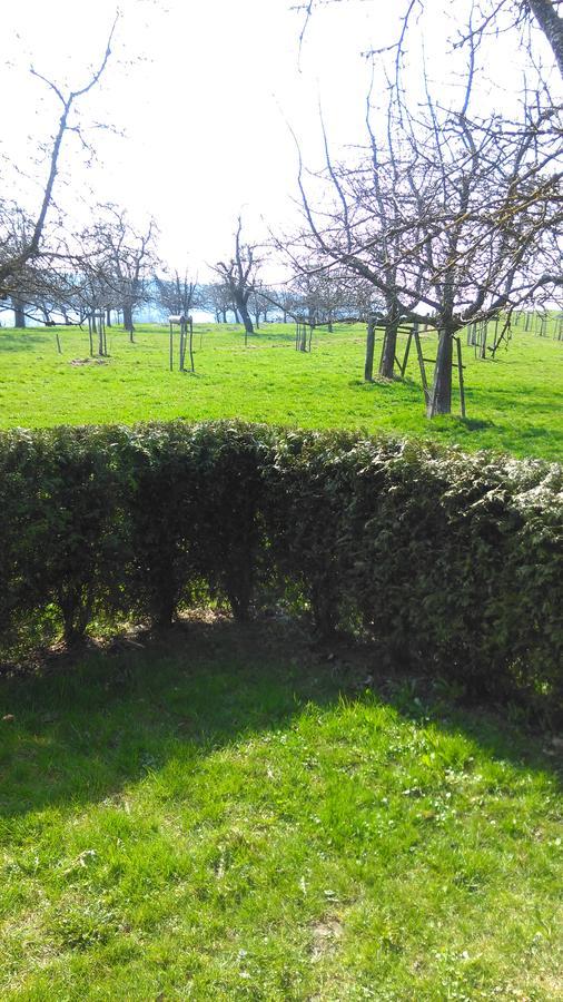 S'Husli Bed & Breakfast Embrach Bagian luar foto